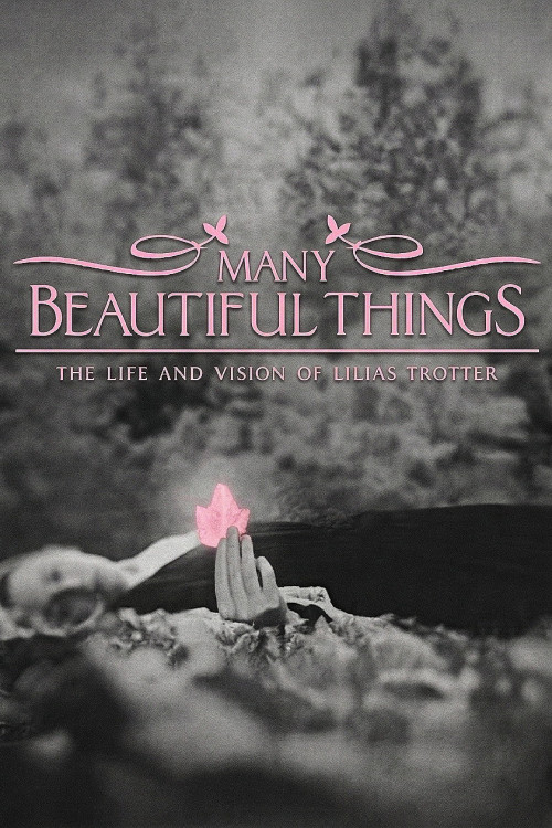 Many Beautiful Things (2015) poster
