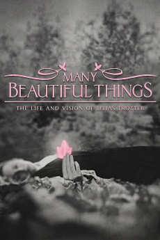 Many Beautiful Things (2015) poster