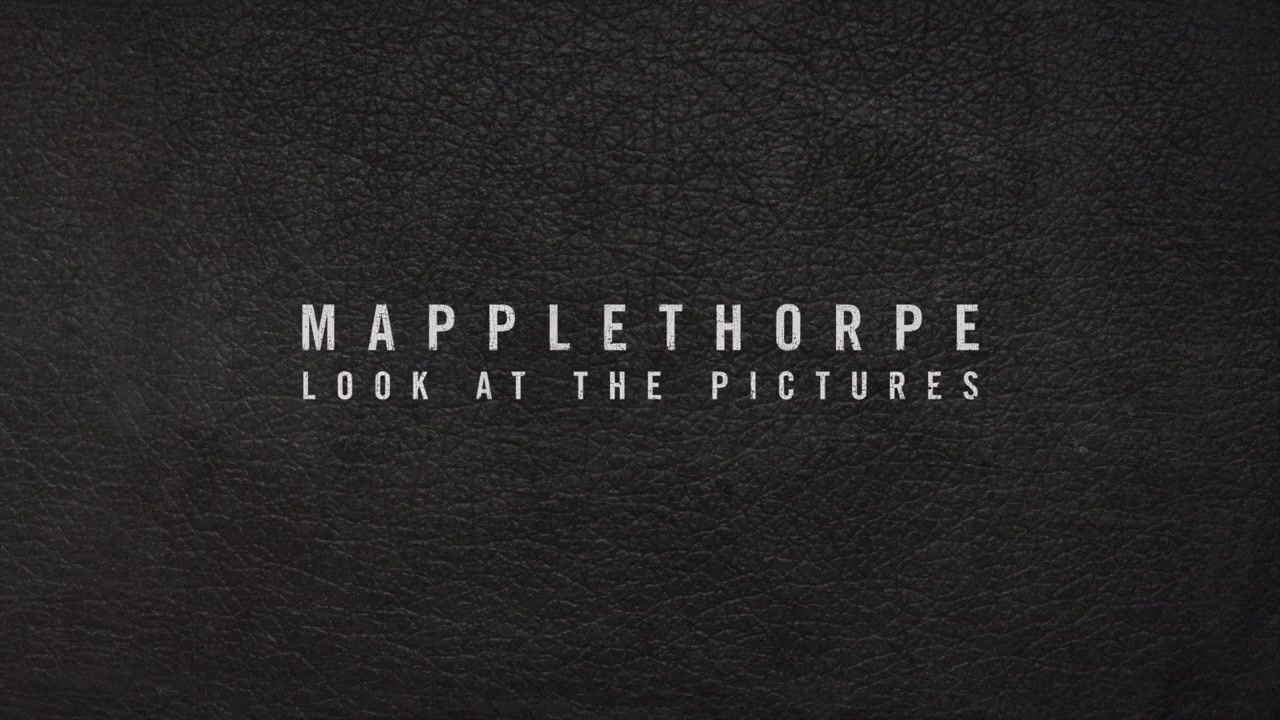 Mapplethorpe: Look at the Pictures screenshot 1