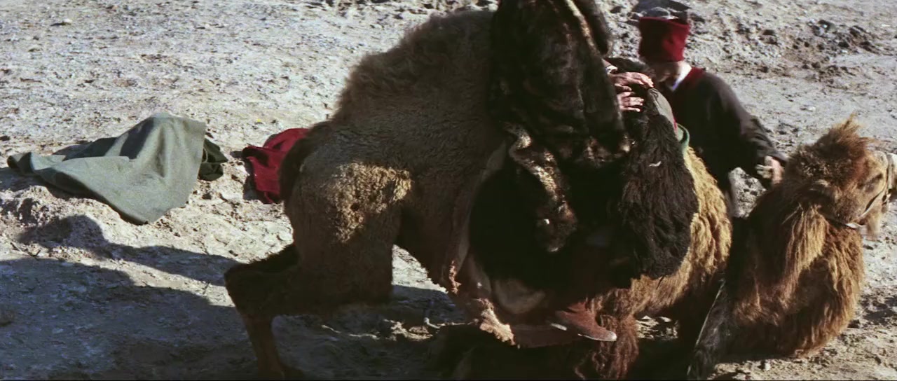 Marco Polo screenshot 2