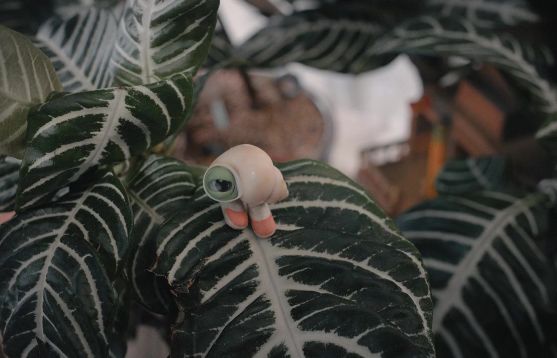 Marcel the Shell with Shoes On screenshot 3