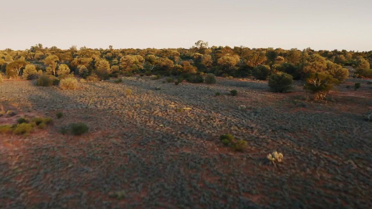 Maralinga Tjarutja screenshot 3