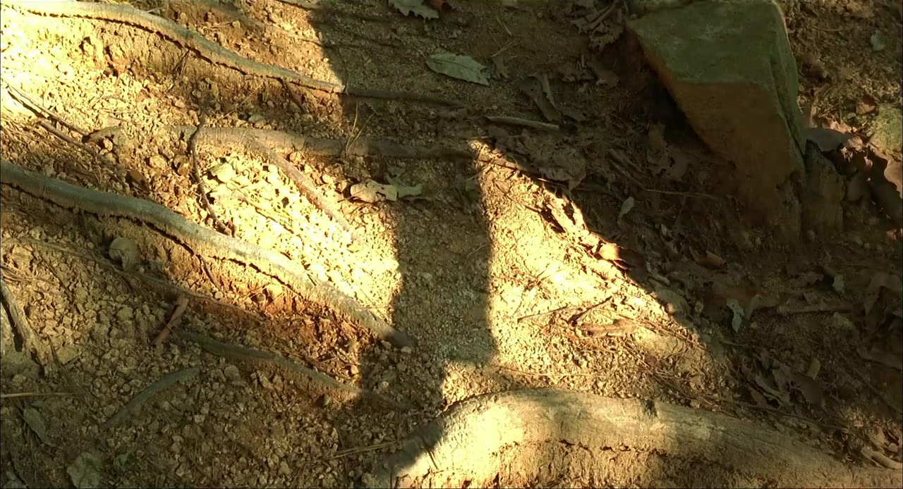 Maraton screenshot 1