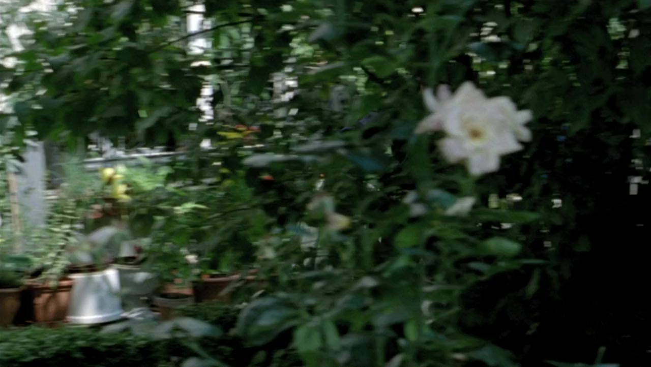 Marie-Octobre screenshot 1