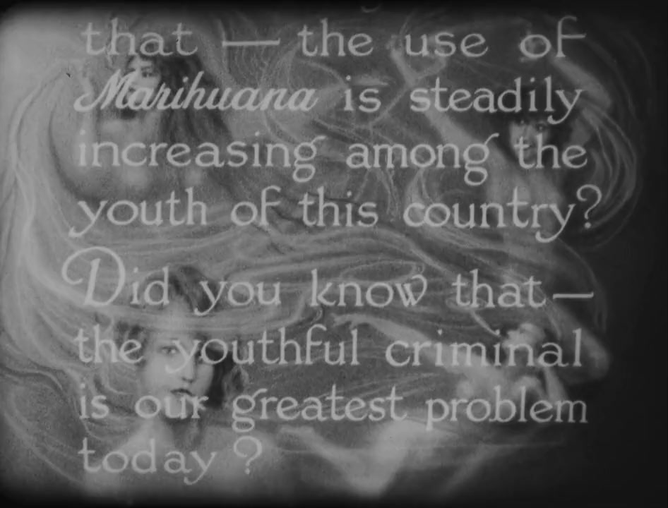 Marihuana screenshot 3