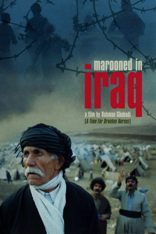 Gomgashtei dar Aragh (2002) poster