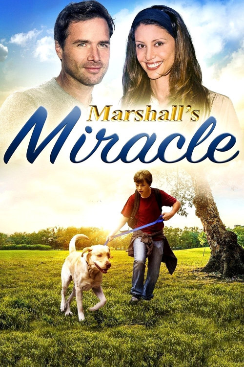 Marshall the Miracle Dog (2015) poster