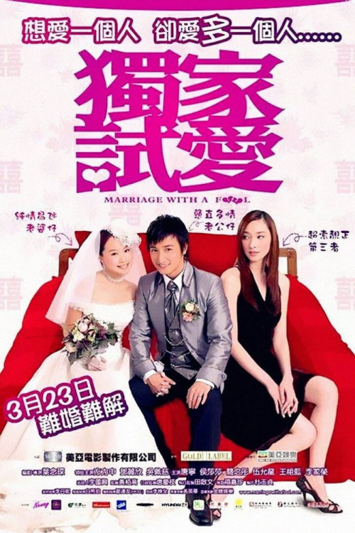 Duk ga si oi (2006) poster