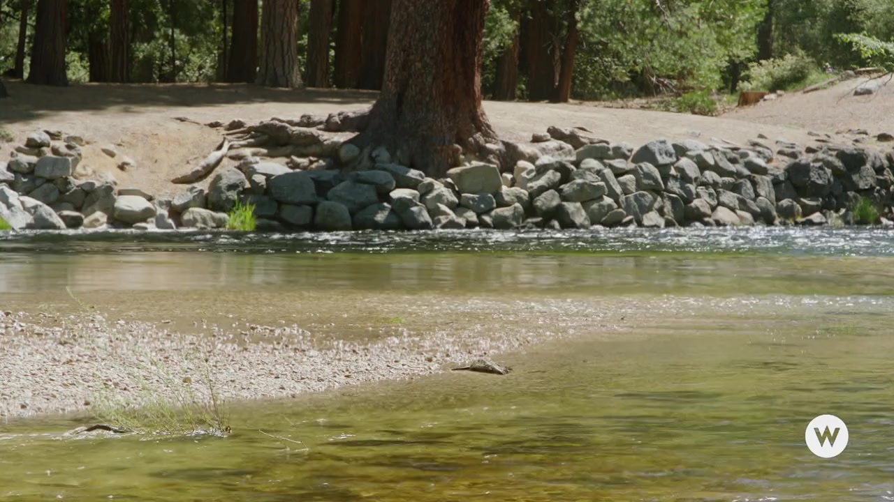 Marry Me in Yosemite screenshot 1