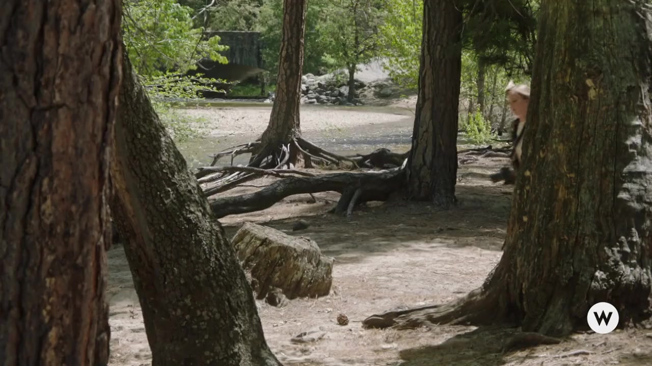 Marry Me in Yosemite screenshot 2