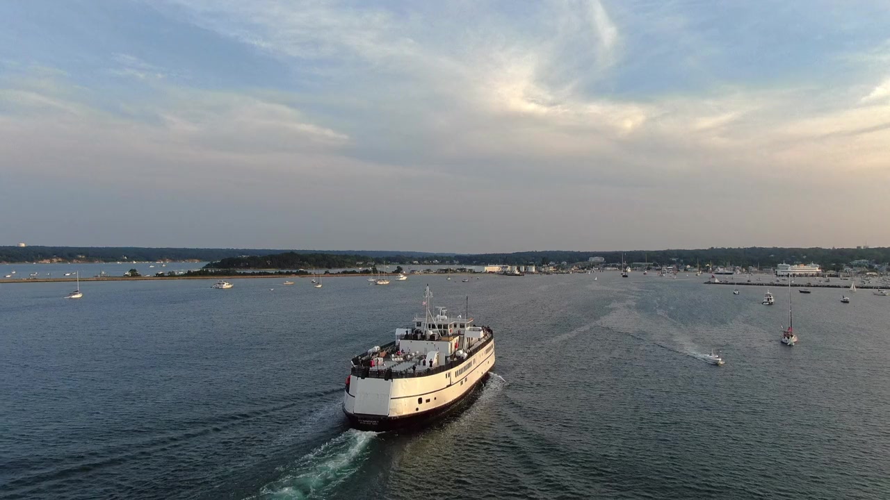Poisoned in Paradise: A Martha's Vineyard Mystery screenshot 1