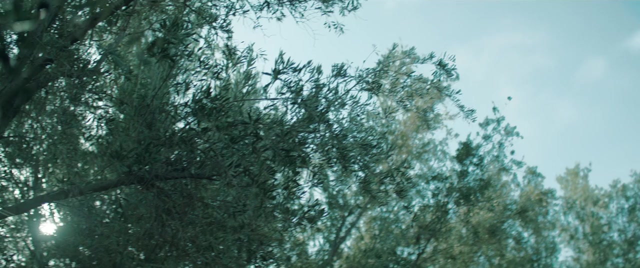 Mary screenshot 1
