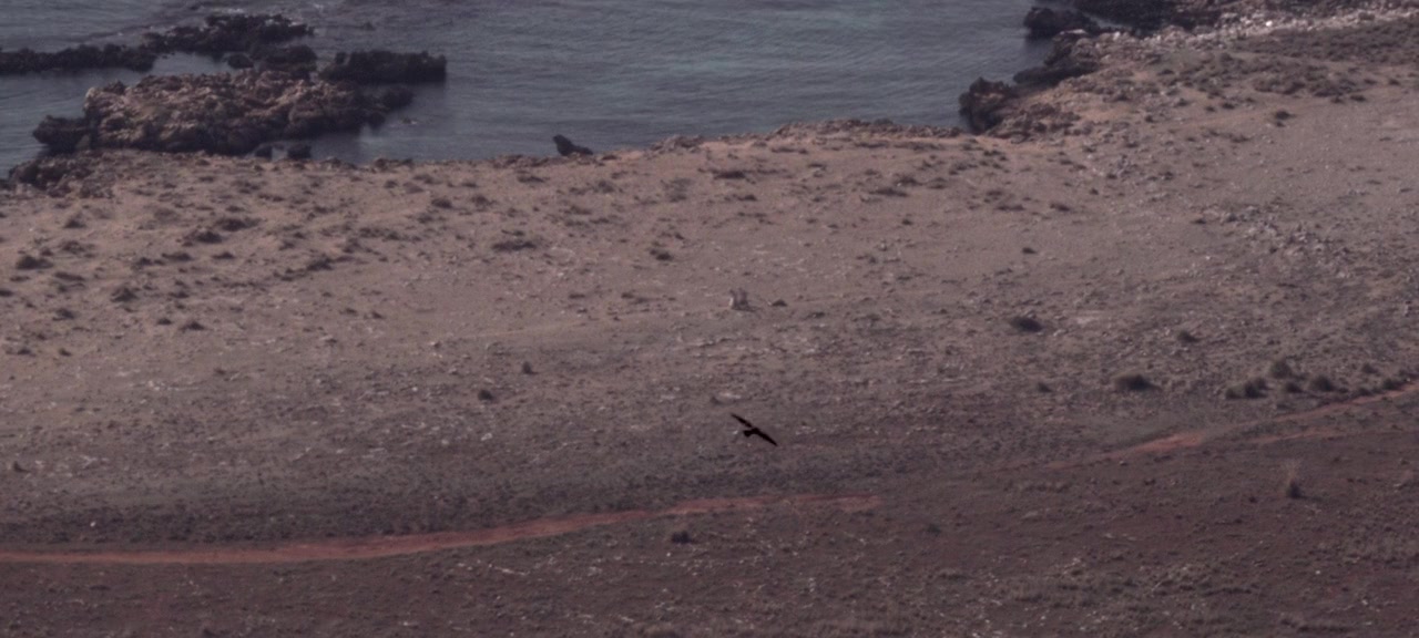 Mary Magdalene screenshot 1