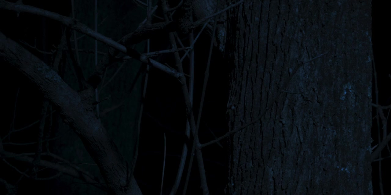 Masquerade screenshot 2