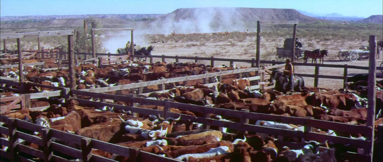 McLintock! screenshot 3
