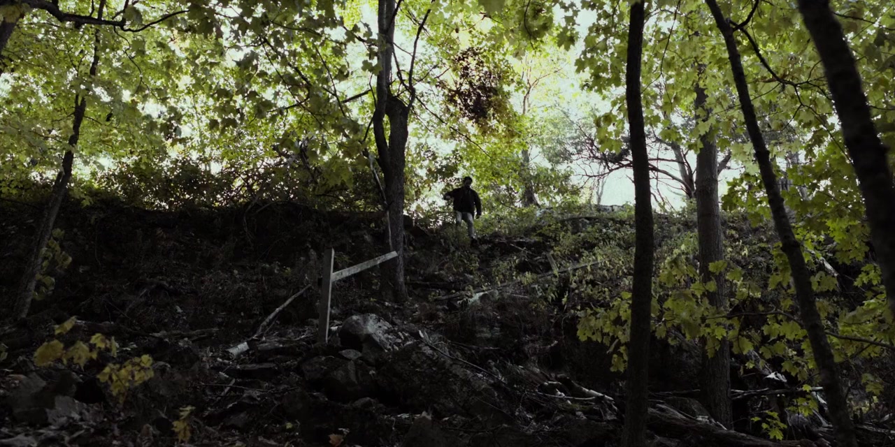 Metamorphosis screenshot 3