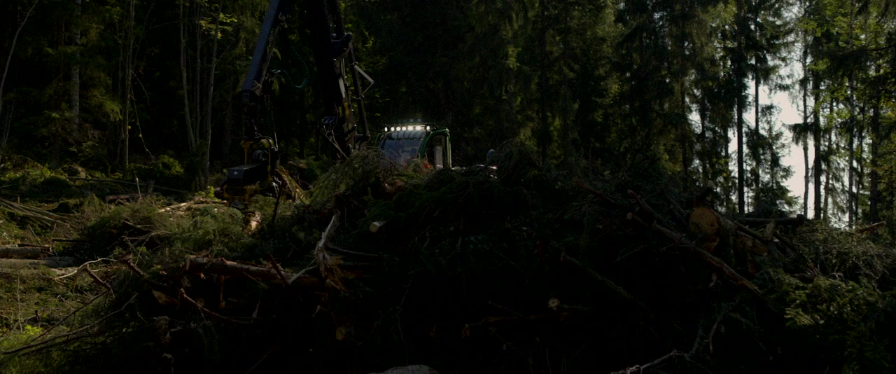 Metsäjätti screenshot 2