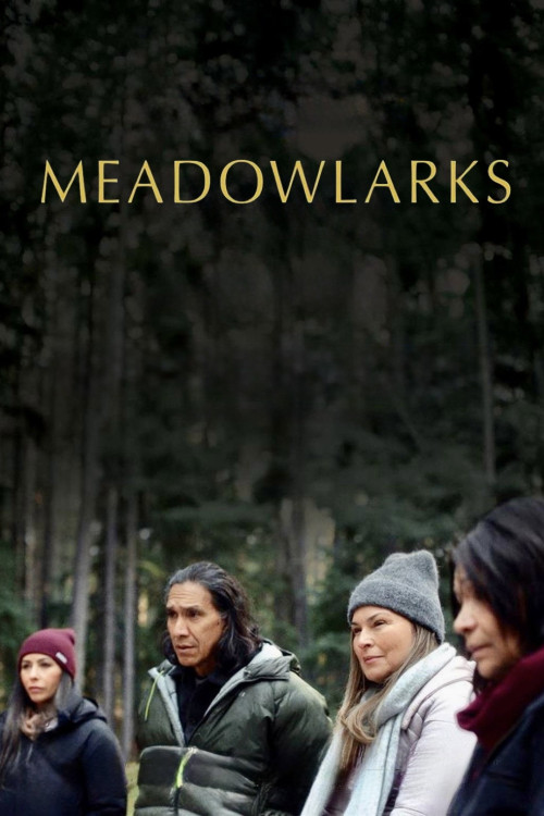 Meadowlarks (2025) poster