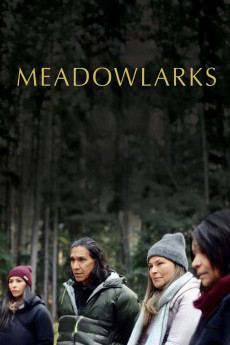 Meadowlarks (2025) poster