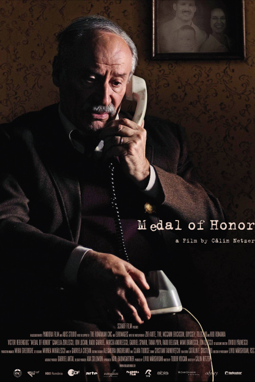 Medalia de onoare (2009) poster