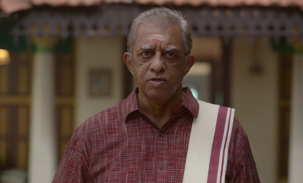 Meenakshi Sundareshwar screenshot 2