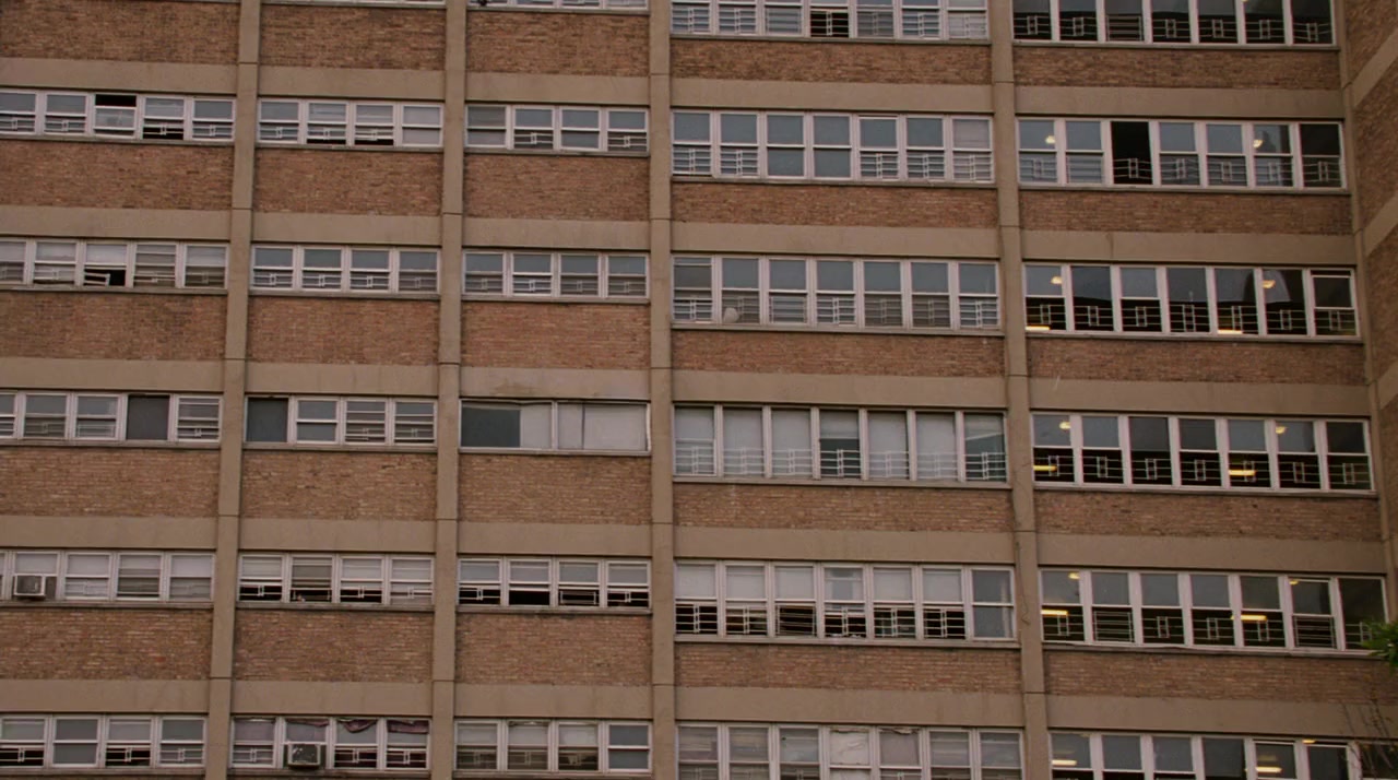 Meet the Browns screenshot 2