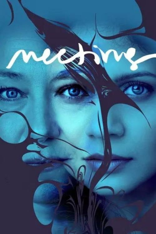 Meeting (2020) poster