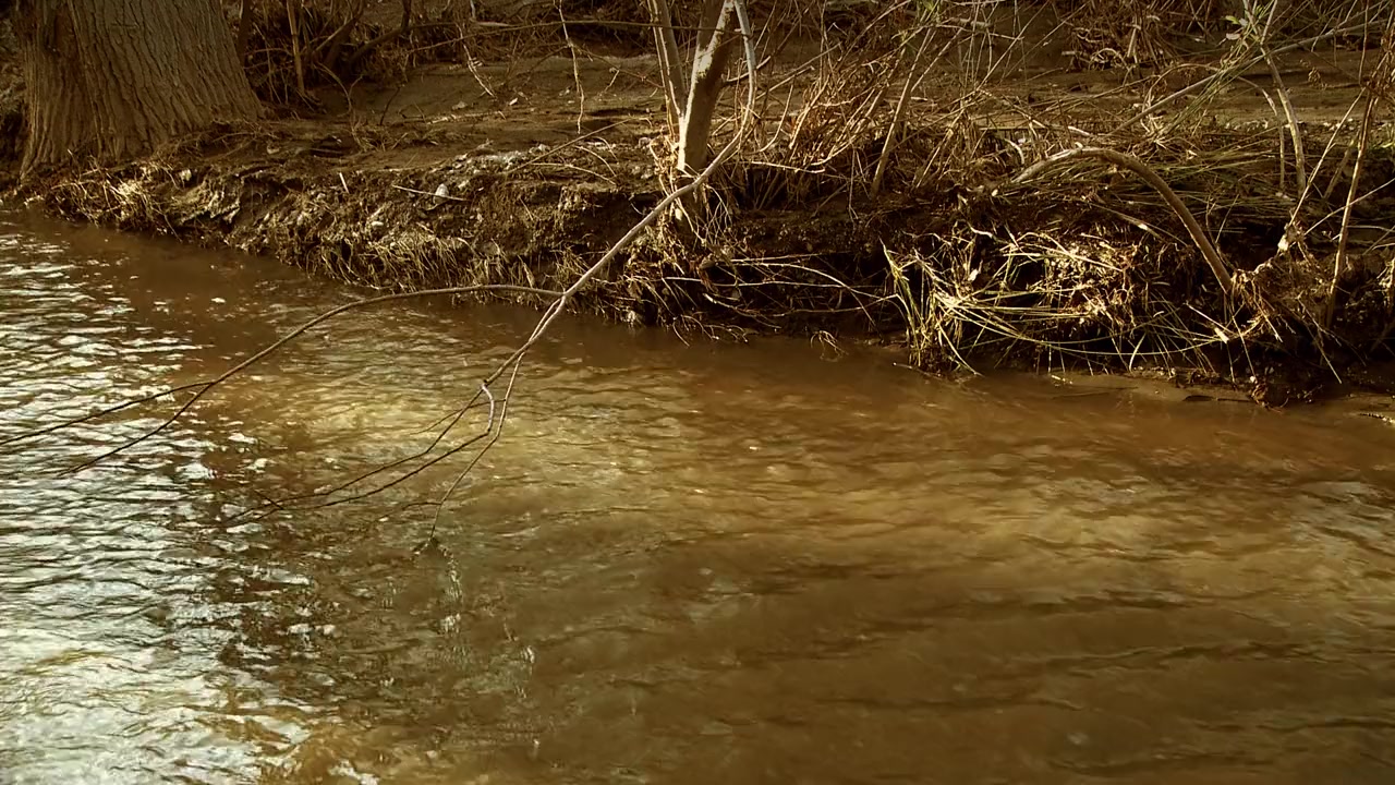 Mega Piranha screenshot 1