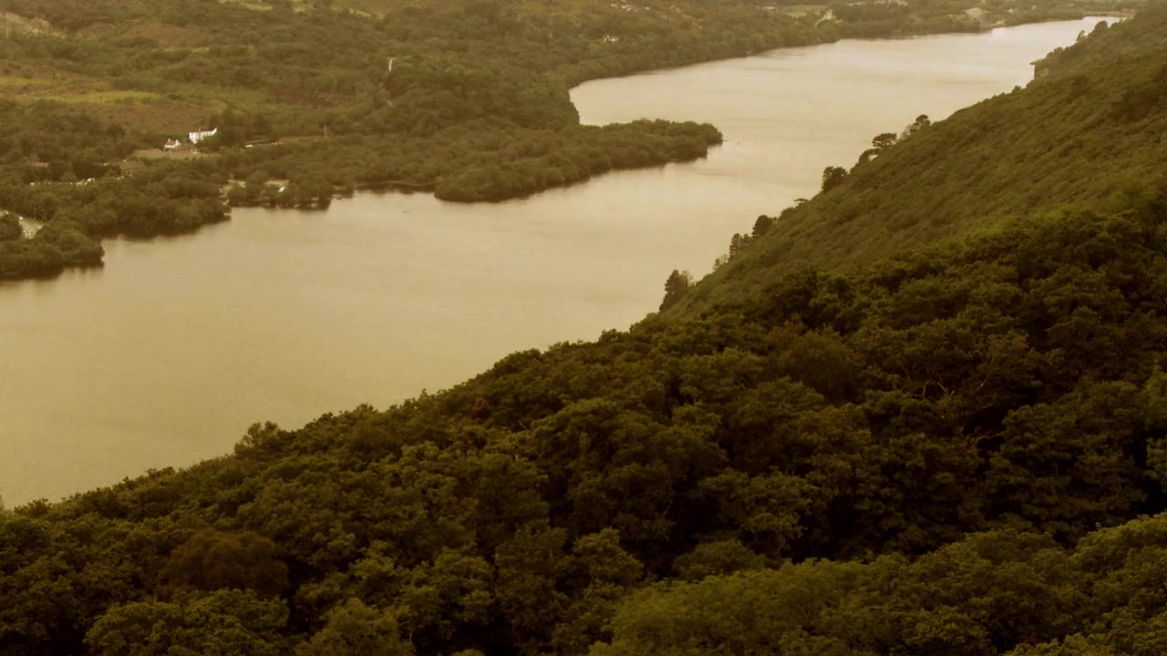 Mega Piranha screenshot 3