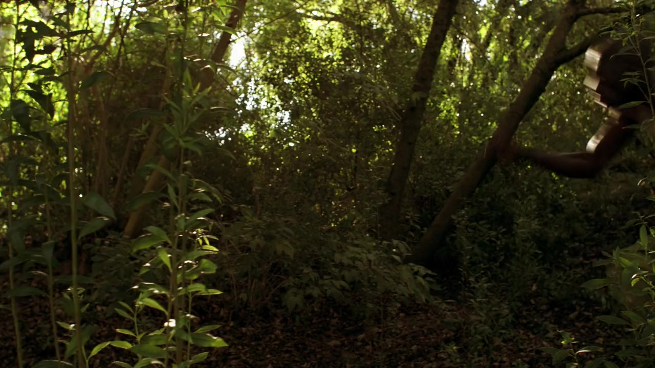 Mega Shark vs. Crocosaurus screenshot 2