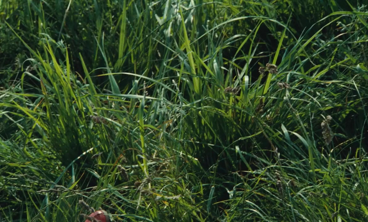 La dérobade screenshot 1