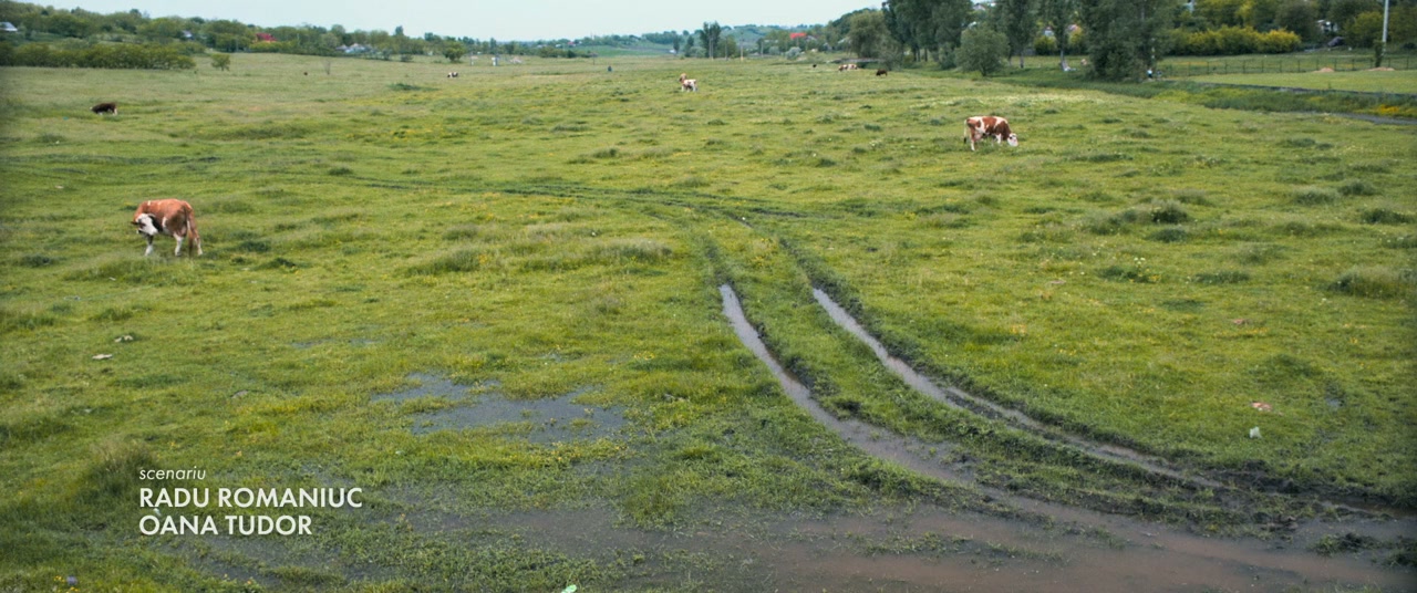 Oameni de treaba screenshot 2