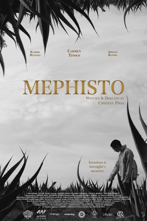 Mephisto (2024) poster