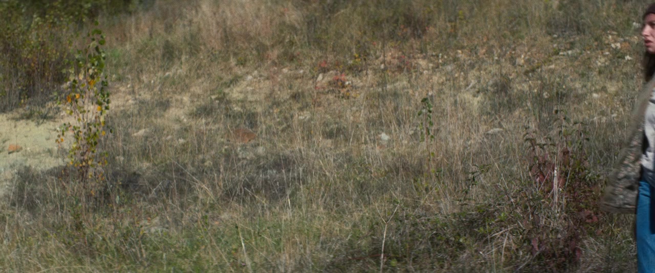 Merrick screenshot 1