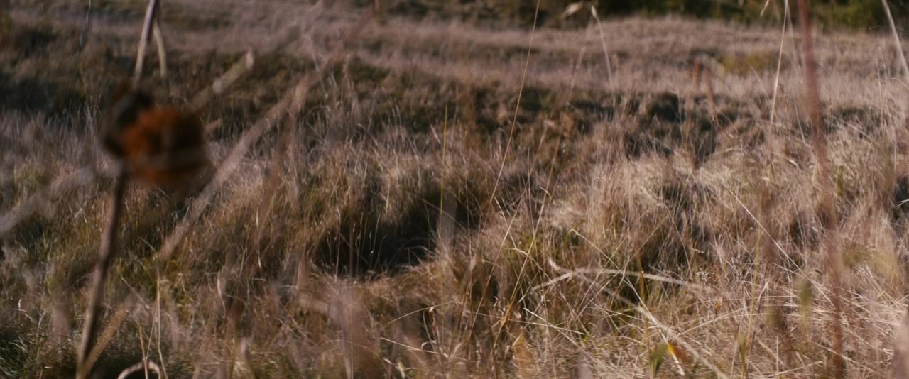 Merrick screenshot 2