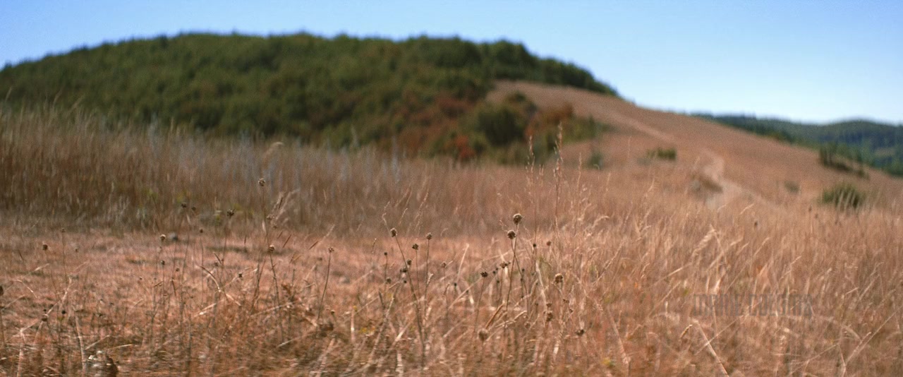 Merrick screenshot 3