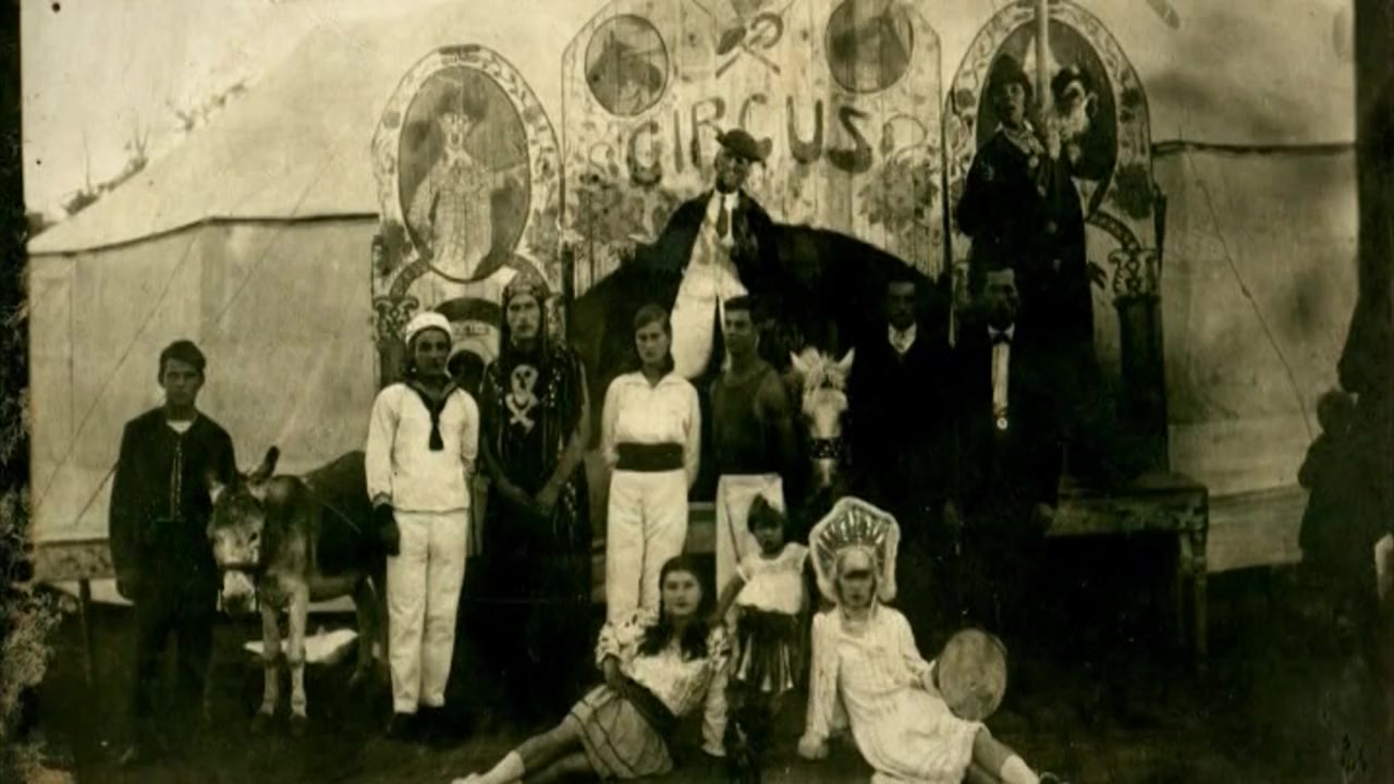 Circul vesel screenshot 2