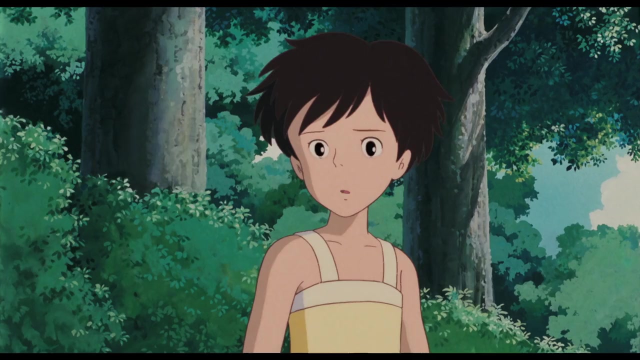 Miyazaki: L'Esprit de la Nature screenshot 2