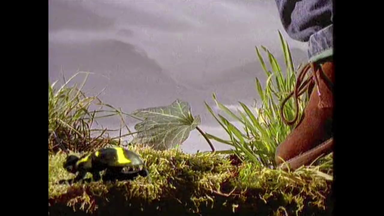 Michel Gondry: Do it Yourself! screenshot 3
