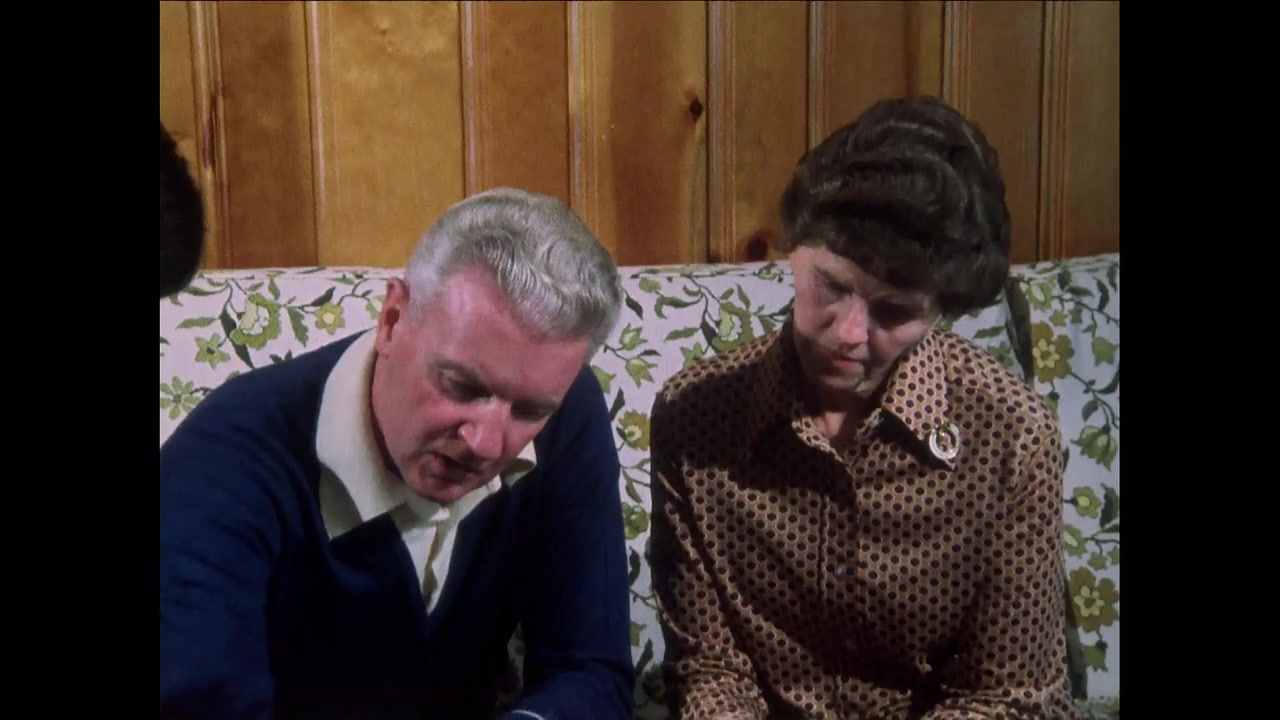 Midnight Return: The Story of Billy Hayes and Turkey screenshot 3