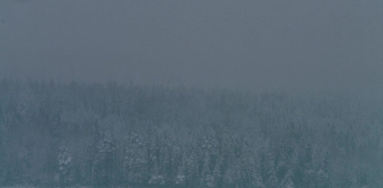 Midsommar screenshot 3