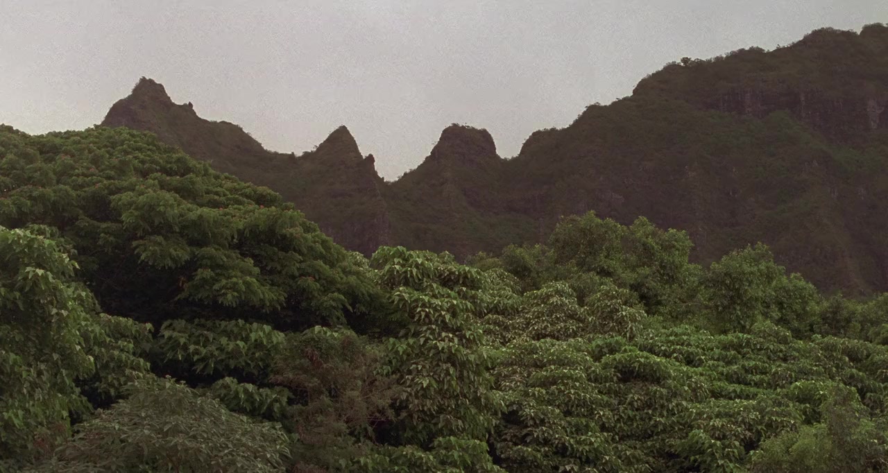 Mighty Joe Young screenshot 3