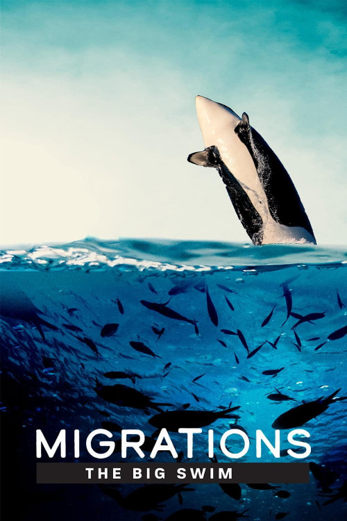 Migrations: The Big Swim (2020) poster