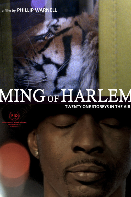 Ming of Harlem: Twenty One Storeys in the Air (2014) poster