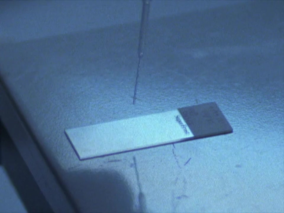 Mind Games screenshot 2
