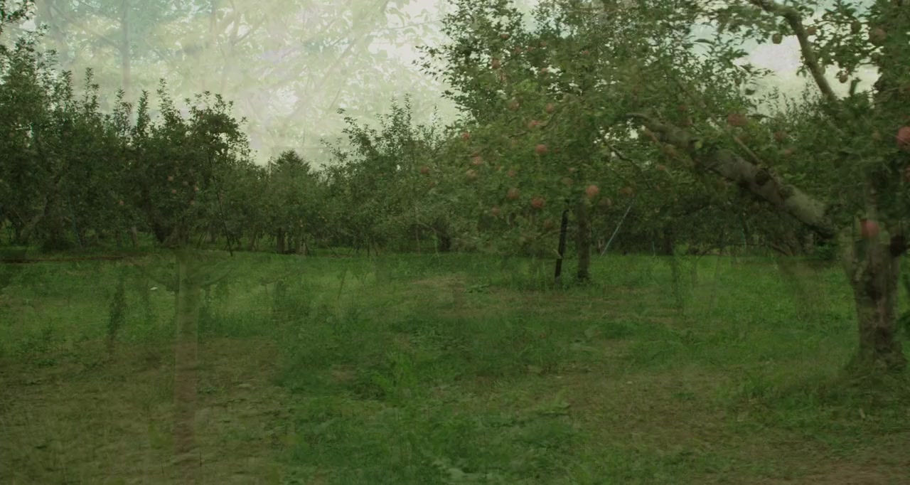 Kiseki no ringo screenshot 2
