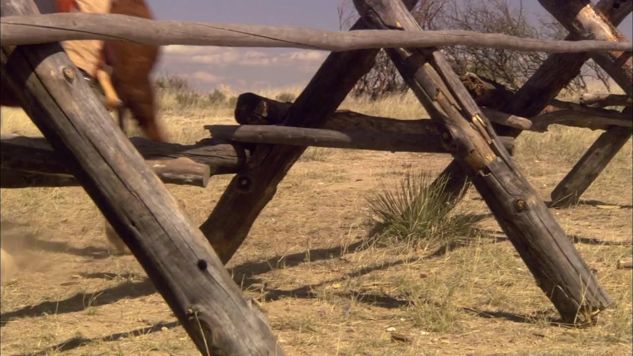 Miracle at Sage Creek screenshot 1