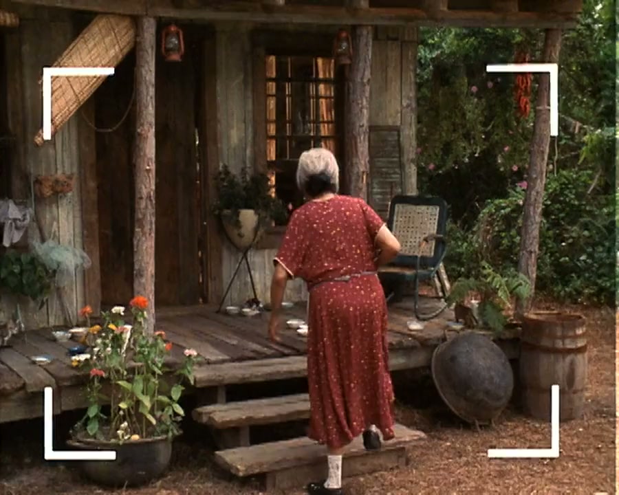 Miracle in the Woods screenshot 2