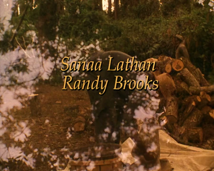 Miracle in the Woods screenshot 3