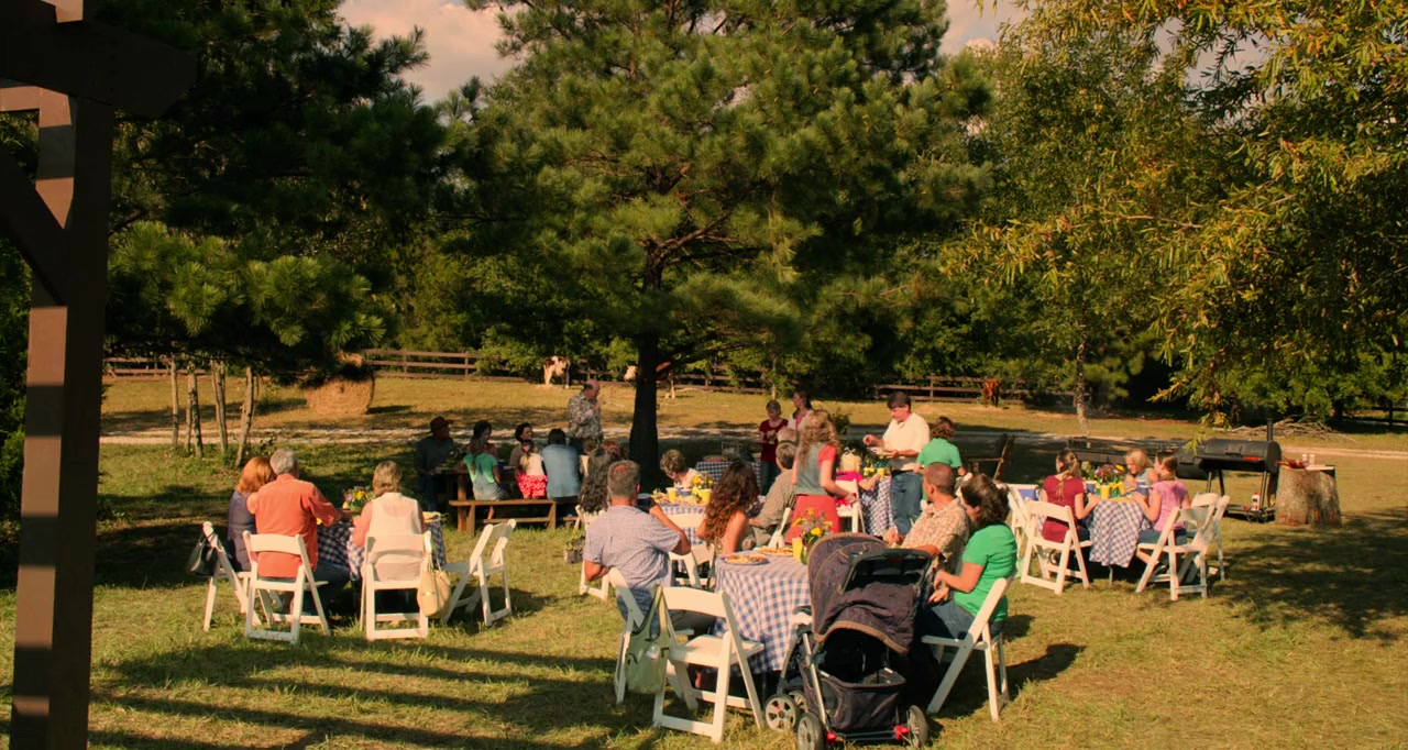 Miracles from Heaven screenshot 1